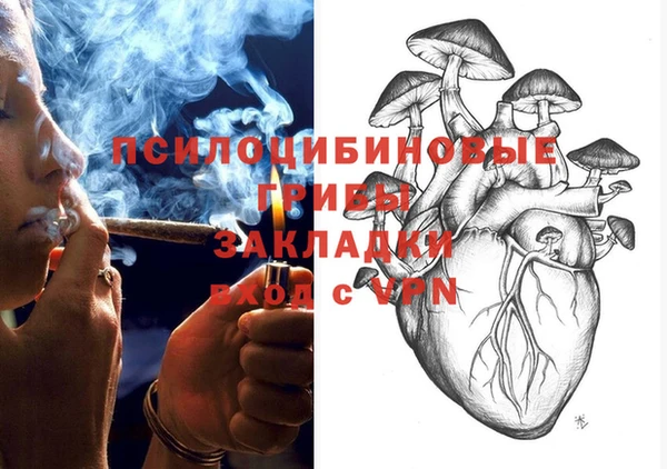 PSILOCYBIN Волоколамск